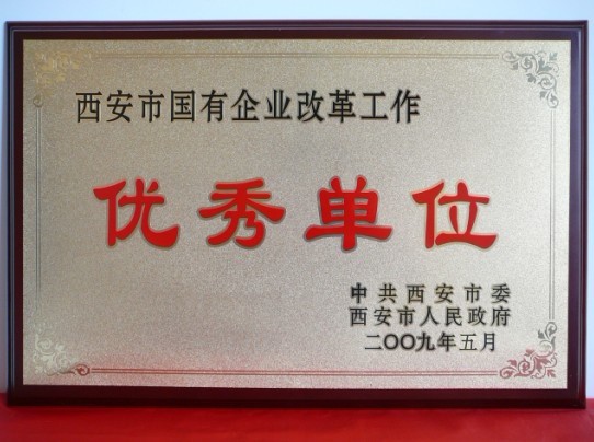 2009年5月，被西安市委、市政府评为西安市国企业刷新事情优异单元