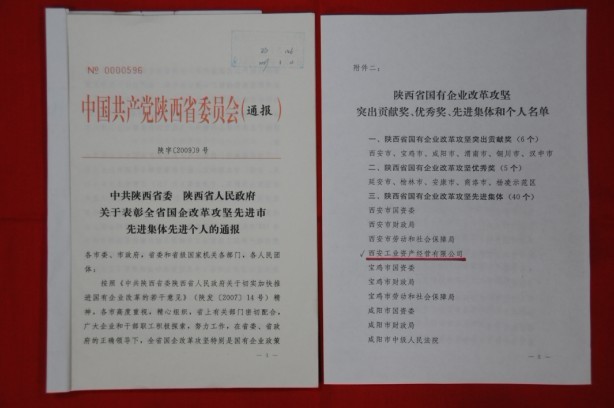 2009年2月，被陕西省委、省政府授予陕西省国有企业刷新攻坚先进整体