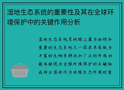 湿地生态系统的重要性及其在全球环境保护中的关键作用分析